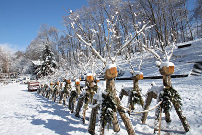 140109-6.jpg 140109-6.jpg