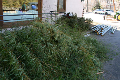 101228-2.jpg 101228-2.jpg