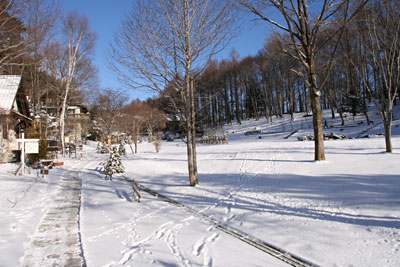 110115-1.jpg 110115-1.jpg