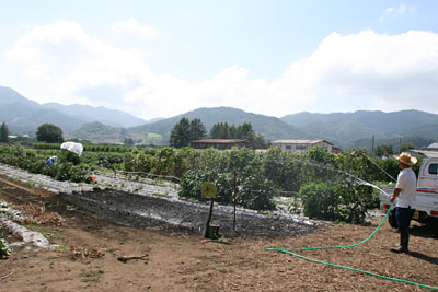 100905-1.jpg 100905-1.jpg