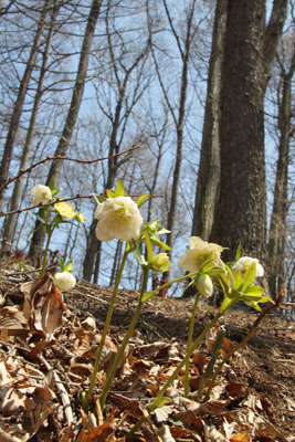 120424-2.jpg 120424-2.jpg