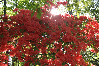 120601-2.jpg 120601-2.jpg