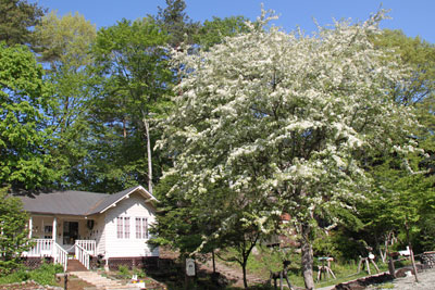 120601-7.jpg 120601-7.jpg