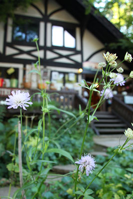 120905-1.jpg 120905-1.jpg