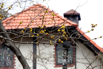 130330-1.jpg 130330-1.jpg
