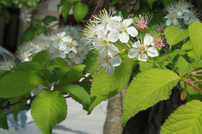 130523-5.jpg 130523-5.jpg