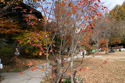 101107-2.jpg 101107-2.jpg