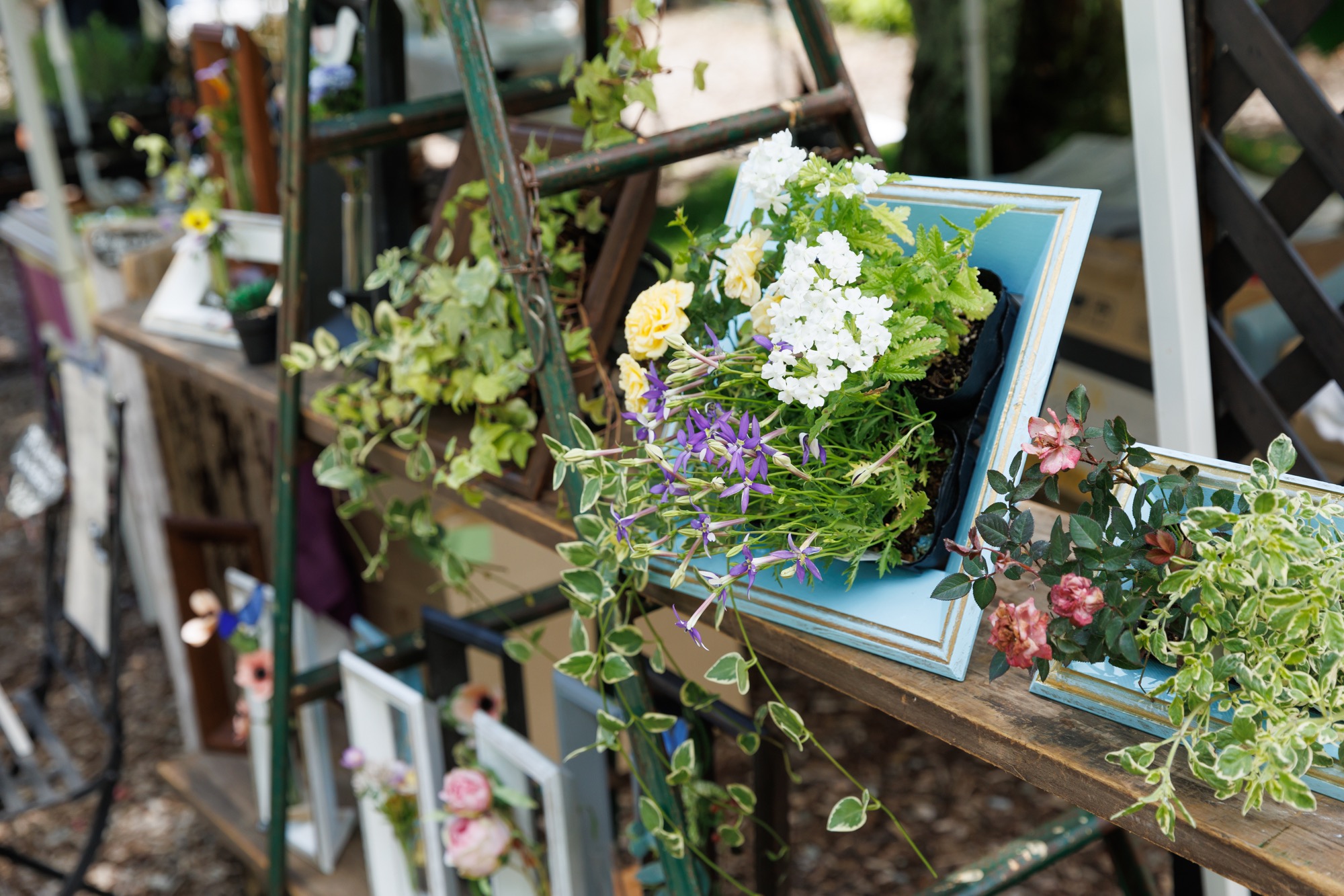 萌木の村ナチュラルガーデンマンス2025 | 萌木の村