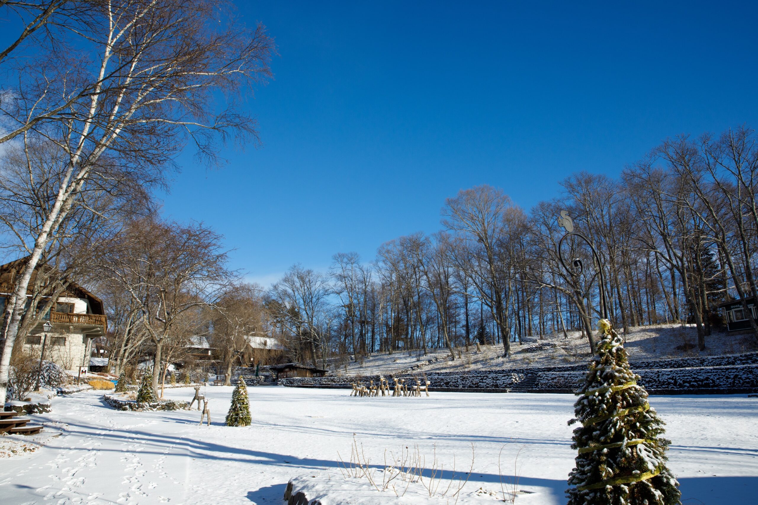 嬉しい雪景色 | 萌木の村