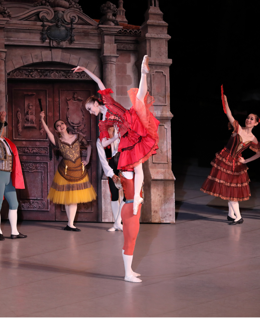 2019第30回清里フィールドバレエThe Field Ballet「眠れる森の美女」「ドン・キホーテ」「30th スペシャルガラコンサート」